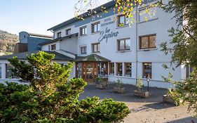 Logis Hotel Les Sapins